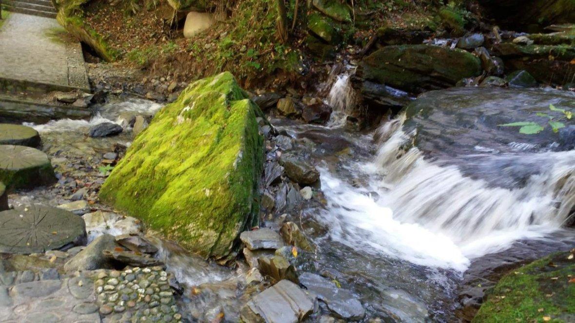 虫虫助手下载